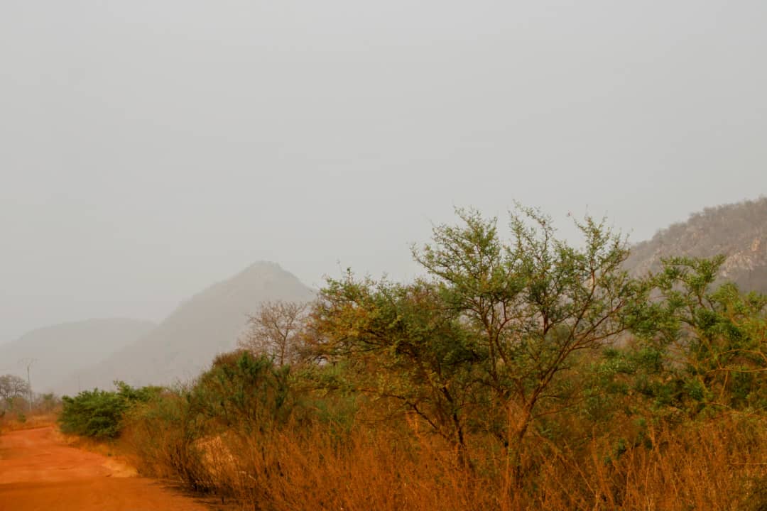 whatsapp image 2025 03 06 à 21.43.28 4db7e04b